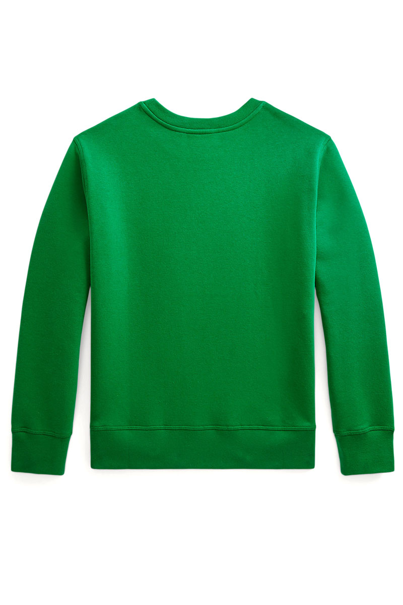 Polo Ralph Lauren LSCN knit sweatshirt Groen-1 2