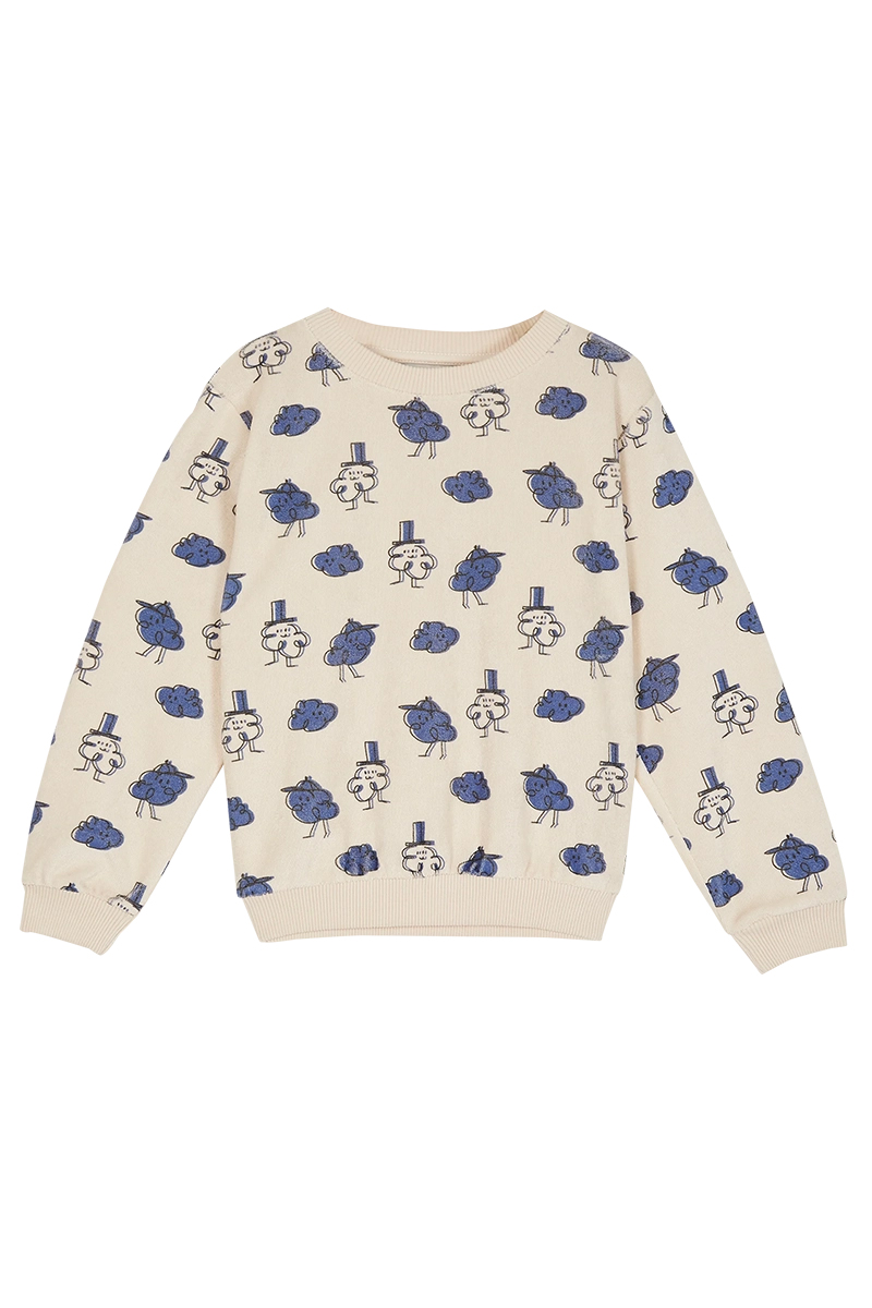 Emile Et Ida Jongens sweater Blauw-1 1
