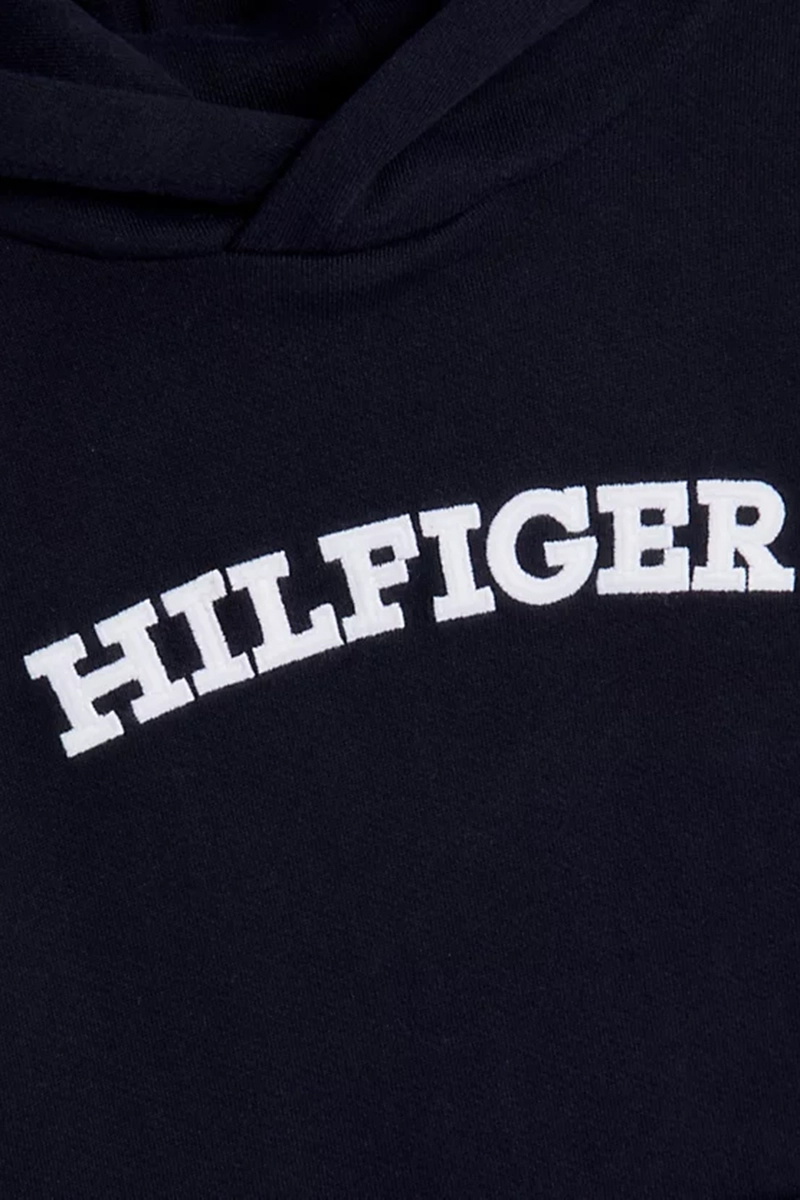 Tommy Hilfiger hilfiger arched hoodie Blauw-1 2