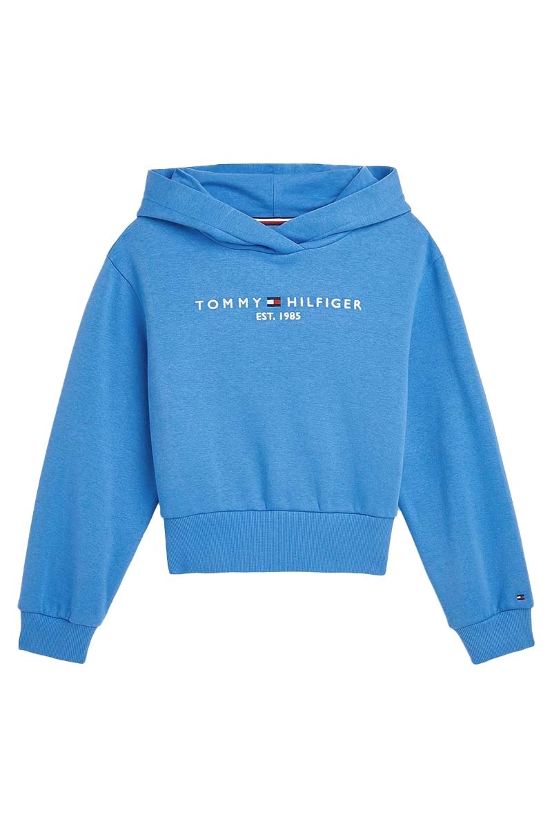 Tommy Hilfiger Essential hoodie Blauw-1 1